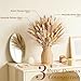 Hapart Fluffy Dried Pampass Grass Bouquet All-Natural Dried Plants with Ivory Bunny Tails for Vase Home Boho Decor Floral Centerpieces for Table 90Pcs