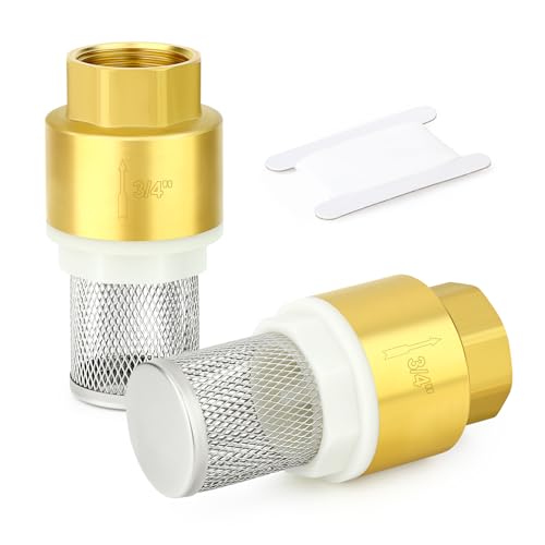 GASHER 1PCS Brass Foot Valve With Filter 3/4
