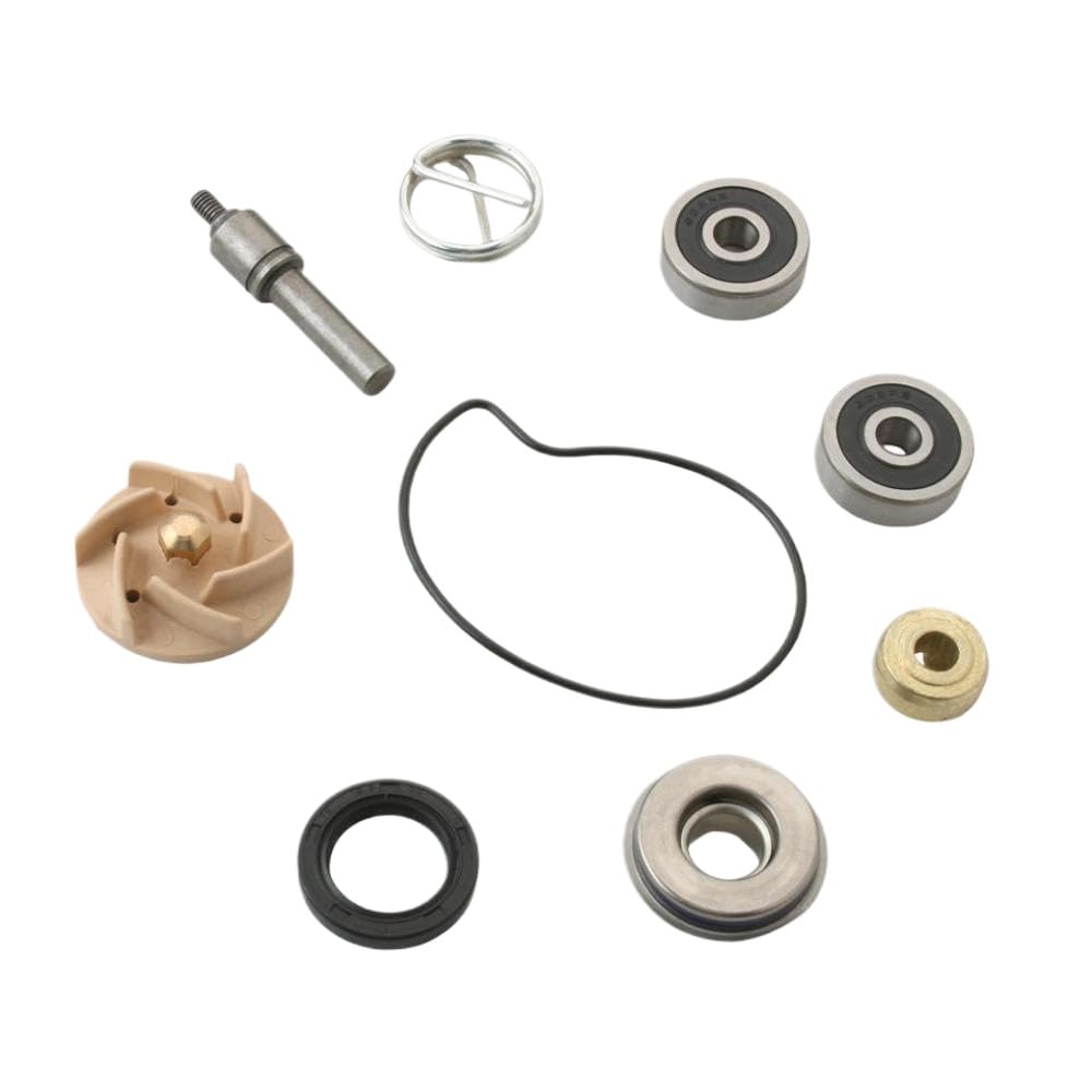 Kit de reparación de Bomba de Agua Compatible con MP3 Carnaby 250 X7 X8 X9 300cc 100110210