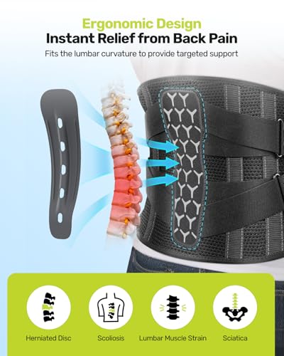 Image of Rakiie Back Brace Lumbar Support 7 Stays | Ergonomic 3D Pad, Easy On /Off, Relieves Sciatica, Herniated Disc, Lower Back Pain, Fits Men /Women, Gray, S