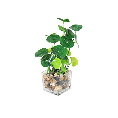 BZBZB Simulación de Planta en Maceta de Estilo Europeo, bonsái pequeño y Moderno para el hogar, pequeña Flor Falsa de plástico, Planta en Maceta, árbol Arti
