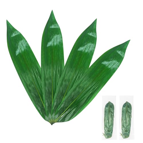 60 hojas de plátano frescas al vacío para cocinar, hojas de bambú para hojas de Zongzi, sushi, decoración de fiesta (2 unidades, 30 unidades)