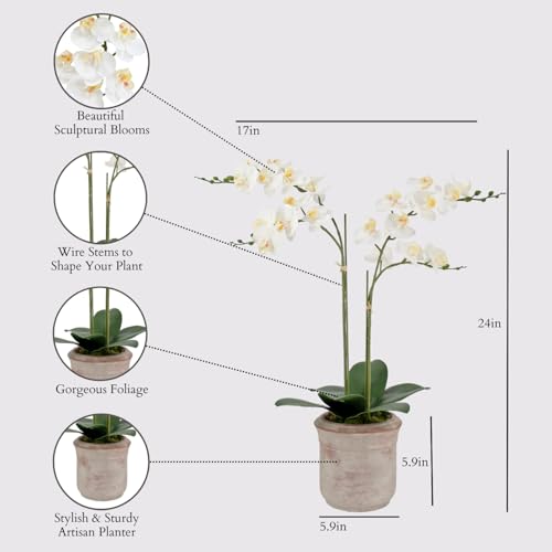 Image of CG Hunter Faux White Orchid Plant, Premium Artificial Indoor Flower Display Stands 24 inch, Beautiful Sculptural Blooms That Lasts Forever, Grey Planter Pot Included
