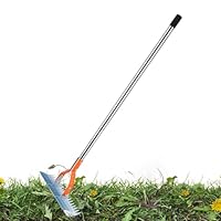 Rastrello A Ventaglio Per Prato - Grande, Robusto Con Manico Ergonomico - Verde/Grigio - Per Foglie Ed Erba - Attrezzo Da Giardinaggio - 2