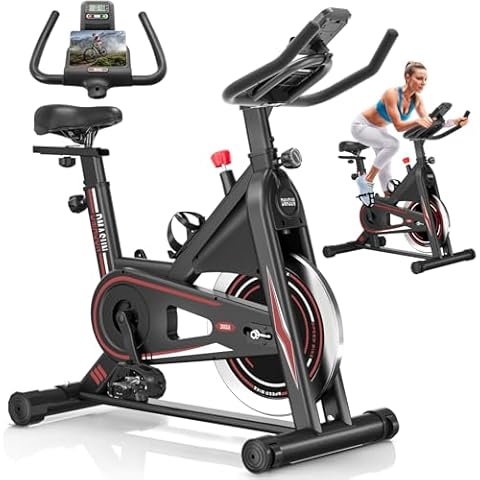 Exercise Bike, DMASUN Classic Brake Pad Pro Stationary Bike for Home with 330 LB Capacity, Workout Bike with Comfortable Seat Cushion, Digital Display with Tablet Holder Cover