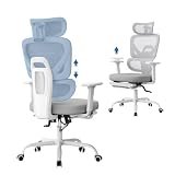 WOLTU Sedia da Ufficio Ergonomica, Sedia Girevole e Regolabile con Ruote, in Tessuto a Rete, con Braccioli 3D, Poggiatesta 3D, Supporto Lombare e Poggiapiedi, per Ufficio, Studio, Grigio