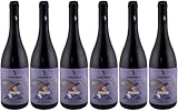 Terre di Bruca Syrano Terre Siciliane IGP 2024 Lieblich Bio (6 x 0.75 l)
