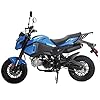 X-PRO 125cc Vader Adult Motorcycle ...