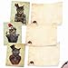 The Best Card Company - 10 Blank Christmas Note Cards - Pet Cats and Dogs, Boxed Xmas Animal Cards for Men and Women (4 x 5.12 Inch) - Christmas Steampunk Cats M6554XSB