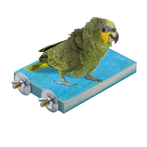 Vogel Papagei Sitzstange Ständer Plattform Natürliches Holz Grobsand Schleifen Krallenständer Geeignet für Papagei Sittich Nymphensittich Wellensittich Conures Lovebird Finken Chinchilla (Blau, B) Cover