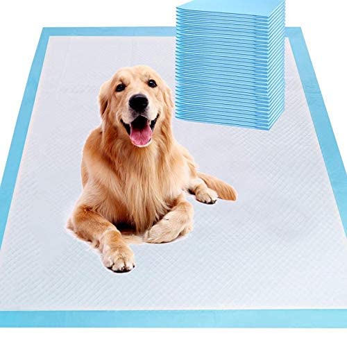 Heavy 100 Count/ 90x60cm| Size: XL/L-60 cm X H- 90 cm Dog Training Pads|Training Pee and Potty Pads| Suitable for Small/Large Breed Puppies| Leak-Proof| Pack of 100 (B0BZVDBVPL) Amazon Price History, Amazon Price Tracker