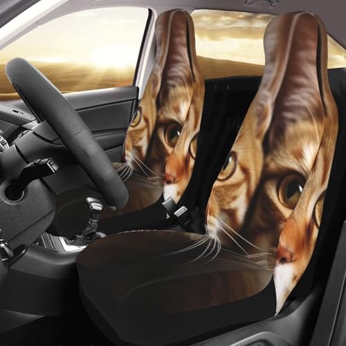 Housses de siège de voiture motif chats : la protection de luxe imperméable universelle