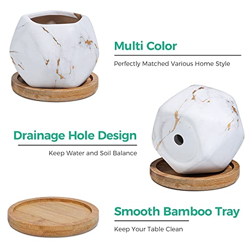 T4U 2.5 Inch Succulent Garden Pot With Bamboo Tray, Small Ceramic Multi Color Windowsill Plant Pot Cactus Herb Planter For Home And Office Decoration Birthday Wedding Pack Of 6 #TOP3
