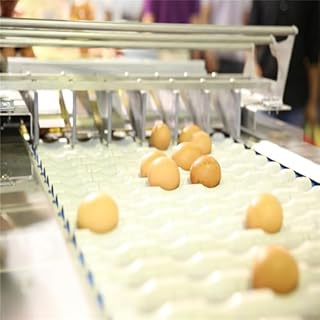 Egg washing and grading integrated machine, automatic fresh egg washing and sorting machine, commercial-grade stainless steel, suitable for small poultry farms.