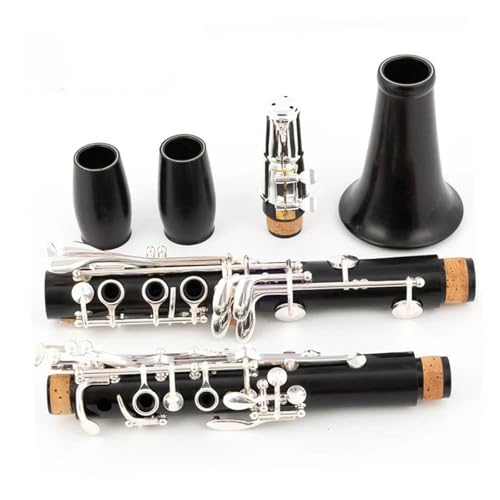 vtFbVi Nlbg Nlbg Bb G{j[ 17 L[ Vo[ bL {^ ؐ OifB Nlbg