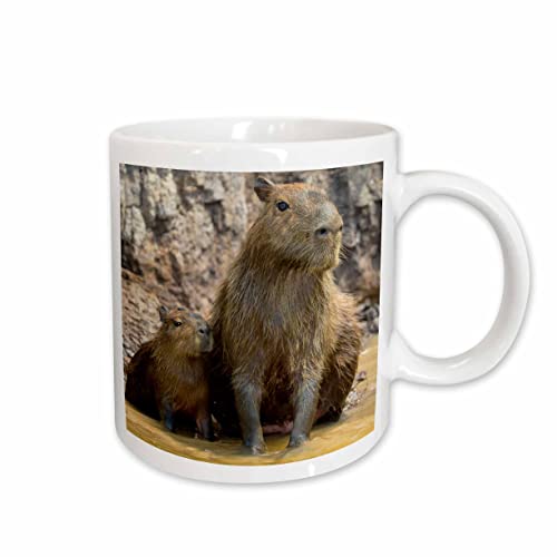 3dRose Brazil. A capybara sitting in muddy water 11oz Mug