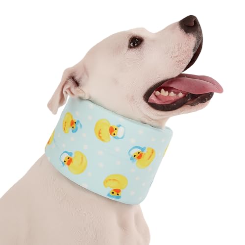 LovinPet ���̉񕜎�ցA���߉\�ȃ\�t�g�R�[�� ���^����ё�^���p�A�p����K&�r�ߖh�~�A�A�q���̖X�q�v�����g�A�u���[