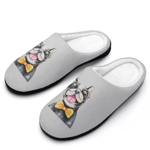 [ZKCASA] Xbp G {XgeA   G [V[Y   qp h  g 􂦂 ~ jp I[V[Yp 7-8i40-41j