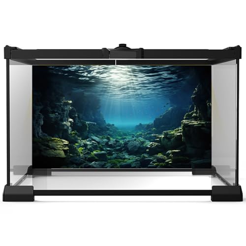 Image of Aquarium Backdrop Underwater Coral Reef with Fishes Sun Rays Terrarium Background Under Water Rocks with Moss Fish Tank Backdrop Aquarium Wallpaper Poster Decor Vinyl 48x24in