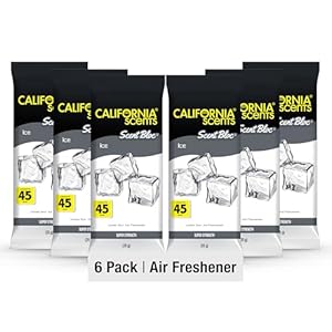 California Scents Hanging Palms Air...