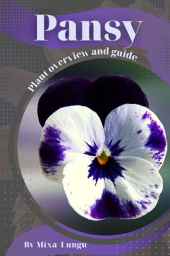 Pansy: Plant overview and guide - Lungu, Mixa