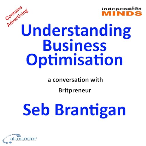 Understanding Business Optimisation – a conversation with Britpreneur Seb Brantigan