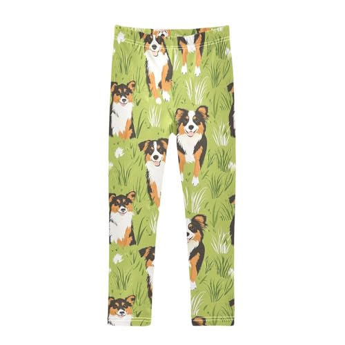 Australian Shepherd Girls Leggings,Workout Leggings for Girls Toddler Athletic Legging Size for 3-10T