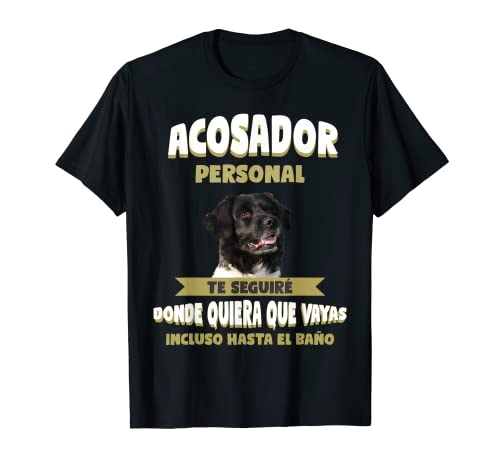 Perdiguero frisón Perro - Perdiguero frisón Camiseta