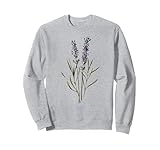 Pianta di lavanda