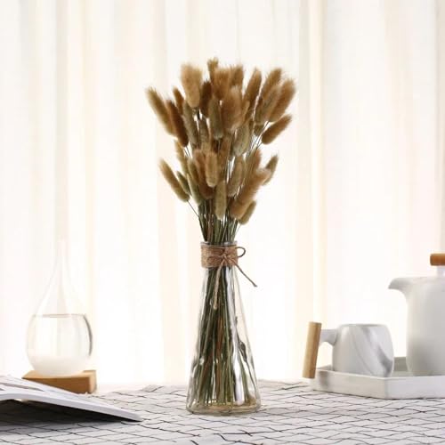 Pampas Grass Decor Tall 60 unidades color Natural