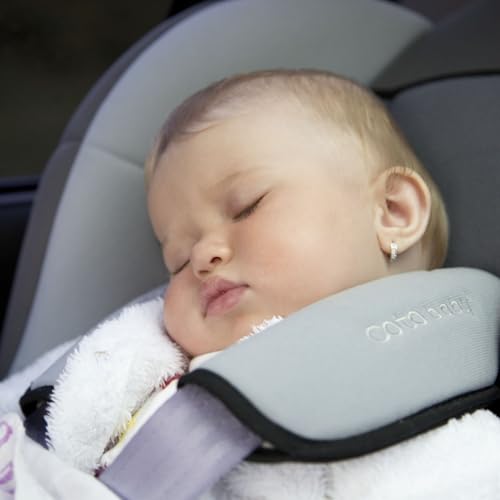 ADDBIBLE&reg; Genesis 42 - Dreams Come True