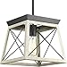 Progress Lighting Briarwood Collection 1-Light Coastal Mini-Pendant Light Graphite, Black