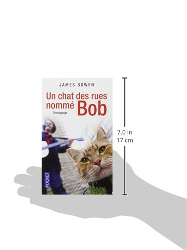 Un Chat Des Rues Nomme Bob Amazon Co Uk Books