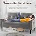 Aotumm Ciort Sofa 2 Seater, Sofa Couch with Comfy Seat Cushion, 2 Pillows, Small 2 Seater Sofa for Living Room/Apartment/Bedroom, Mid Century Modern Couch, Easy Assembly Sofas & Couches, Light Grey