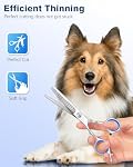 6-in-1 Ciseaux de grooming pour chiens - Kit professionnel de coupe de cheveux en acier inoxydable avec des conseils arrondis de sécurité, poignées ergonomiques Soft-Grip pour petits & Grands chiens, chats
