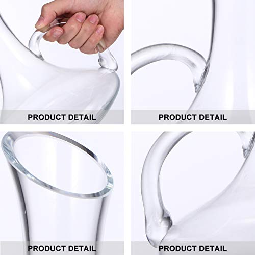 Hemoton Garrafa de Vinho de Vidro Garrafa de UÃ­sque Bebida Armazenamento de Vinho Decanter Transpar