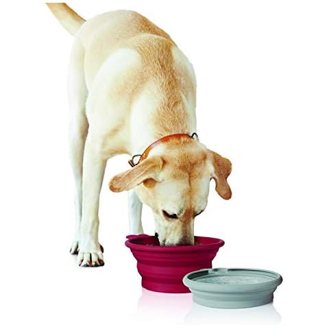 Pet Parade - Pop-up Food & Water Bowl Set - Travel Friendly Pet Bowl - Collapsible & Interlocking Design - for Water and Food - Portable Use, Multi Cover
