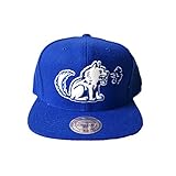 Mitchell & Ness Toronto Huskies Snapback in Blue