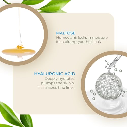 MW&B EVRYDAE Essentials Skin Firming Face Wipes 10 Pcs, Anti-Aging, Hydrating, Cleansing, Moisturizing, Refreshing, Anti Wrinkles, Reduces Skin Pigmentation, Travel Pack - Image 5