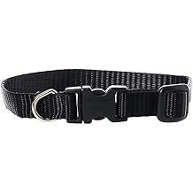 LupinePet Basics 1/2" Black 8-12" Adjustable Collar for Small Dogs