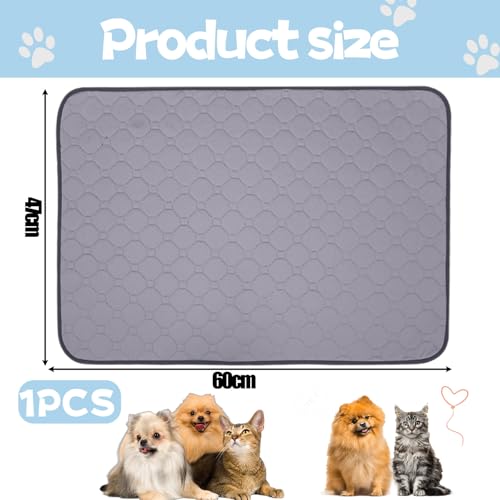 MOAZIFI Hundedecke Auto Wasserdicht 60 x 47 cm - Welpenunterlagen Waschbar, Antirutsch Hundematte für Sofa, Reisen und Training
