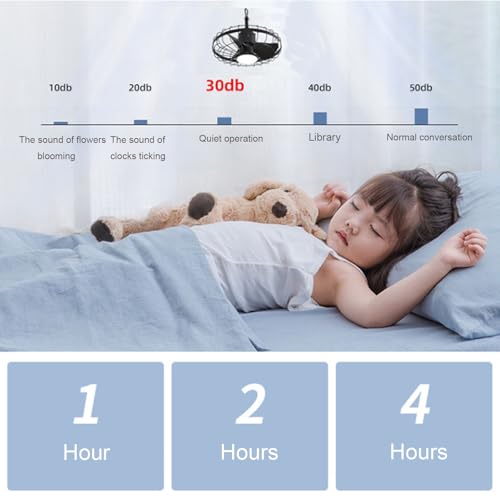 FRDSEBN(小さな店) 20インチ屋外用シーリングファン の商品画像 6