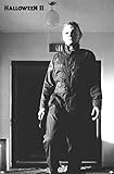 Halloween II - Michael Hallway Wall Poster, 34L' x 22.4W', Unframed Version
