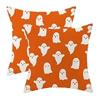 DFXSZ Set di 2 federe per cuscini a tema Halloween, 45,7 x
