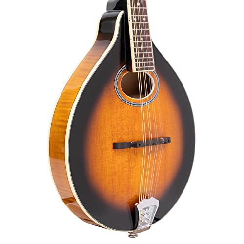 Gold Tone, 4-String Mandolin, Sunburst (Gm-50+) #TOP2
