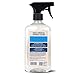 Aunt Fannie's Glass & Window Cleaning Vinegar Spray, Natural Streak-Free Spray, 16.9 Ounces (Pack of 1)