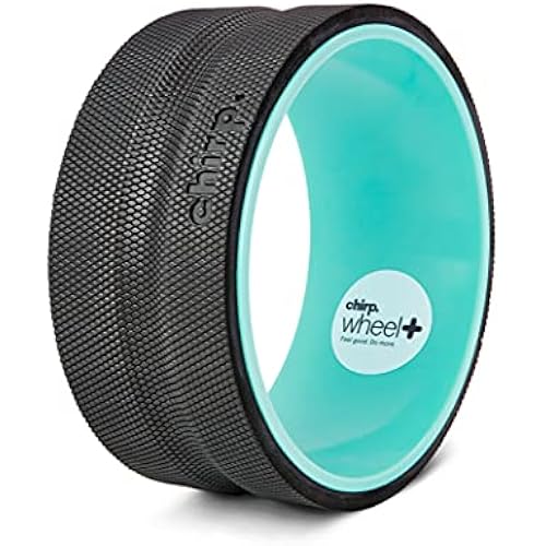 Chirp Wheel+ Foam Roller, Back & Neck Pain Relief, Mint 10-Inch