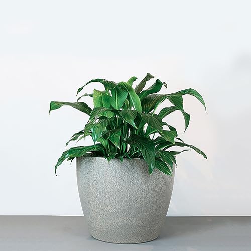 Vasart Malta Vaso de Flores Redondo, Granito Pedra, 34x27cm