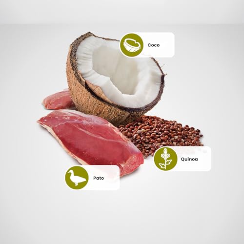 ND QUINOA CAO WET Ração Úmida Lata Farmina N&D Quinoa Skin & Coat Pato & Coco Para Cães Adultos