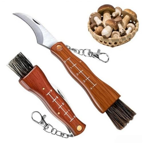 XIKTTK Pilzmesser mit B&uuml;rste/Pinsel und Skala, Klappmesser Rostfreiem, Schwammerlmesser mit Holzgriff und Pilzb&uuml;rste f&uuml;r Pilz Schneiden und Putzen, Ernten, Geschenke f&uuml;r Pilzsammler